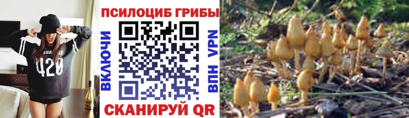 Псилоцибиновые грибы мицелий Каменск-Уральский