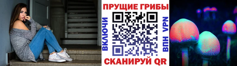 Псилоцибиновые грибы GOLDEN TEACHER  Каменск-Уральский 
