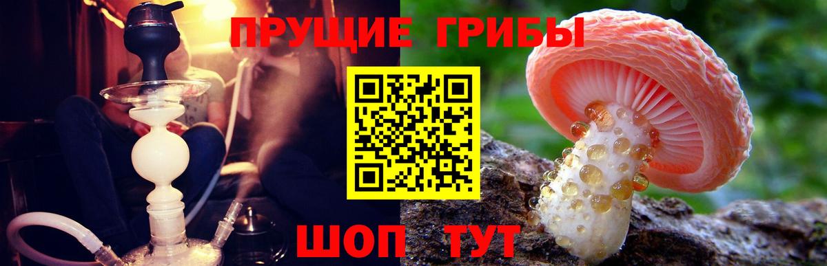 Галлюциногенные грибы Psilocybine cubensis Каменск-Уральский